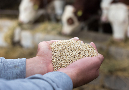 Agriculture and Livestock